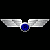 FighterPilotWingsSmall50px.gif
