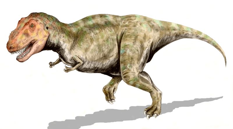 File:Tyrannosaurus BW.jpg