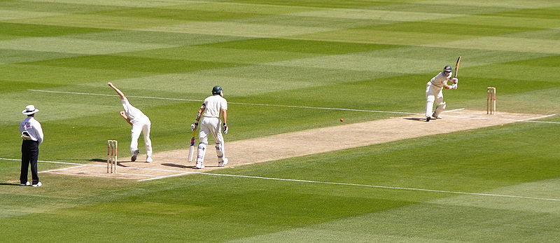 File:Cricket.jpg