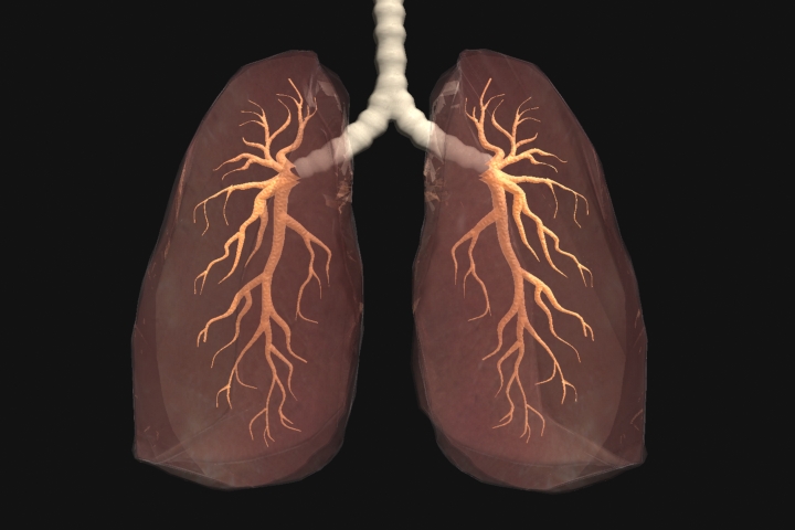 File:Artificial Lung.jpg