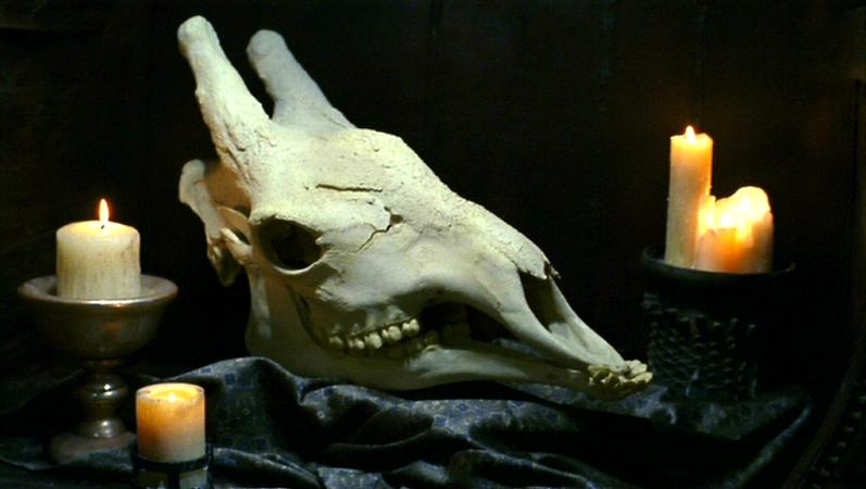 File:Xindi-Avian skull.jpg