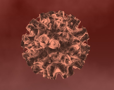File:Early Virus.jpg