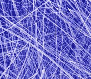 Nanowires.jpg