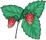 Strawberry2 Sm.gif