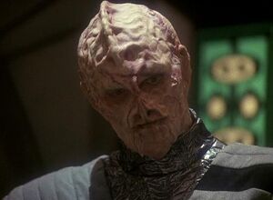 Betelgeusean male.jpg