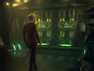 Maturation Chamber.jpg