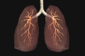 Artificial Lung.jpg