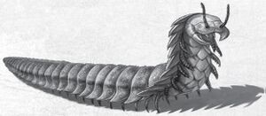 Parasite Type VIII.jpg