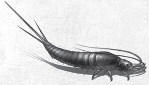 Parasite Type VII.jpg