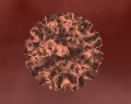 Early Virus.jpg