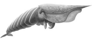 Parasite Type IX.jpg