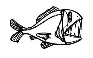 The 'USS Serenity NCC–2891