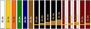Judo ranks.jpg