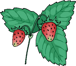 Strawberry2.gif
