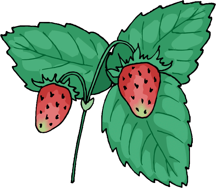 File:Strawberry2.gif
